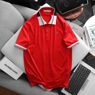 Polo vải cá sấu poly chính hãng cực đẹp. Thun poly 4c trơn láng, mát rượi, co giãn 4c thoải mái Size : m l xl 2xl /2222/8c 3 màu/ ri 24c