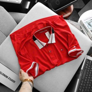 Polo vải cá sấu poly chính hãng cực đẹp. Thun poly 4c trơn láng, mát rượi, co giãn 4c thoải mái Size : m l xl 2xl /2222/8c 3 màu/ ri 24c