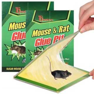 Miếng keo dính chuột Mouse & Rat giá sỉ