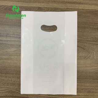 Túi hột xoài PE size lớn, đựng lịch, đựng mĩ phẩm giá sỉ, hàng không in