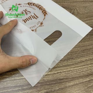 Túi hột xoài PE size lớn, đựng lịch, đựng mĩ phẩm giá sỉ, hàng không in