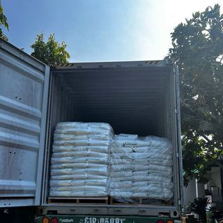Cỏ viên alfalfa