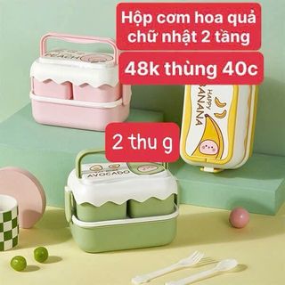 Hộp Cơm Hoa Quả Chữ Nhật 2 Tầng giá sỉ