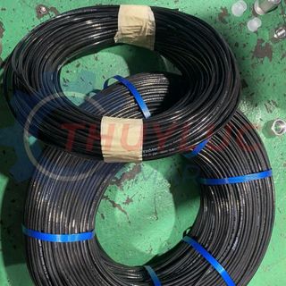 Ống kiểm tra áp lực giá rẻ