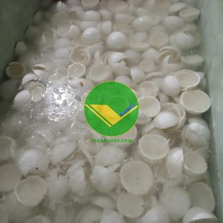 vikafoods cung cấp dừa đông lạnh