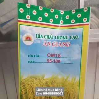 Cung cấp bao đựng lúa giống 40kg in sẳn có PE 40g