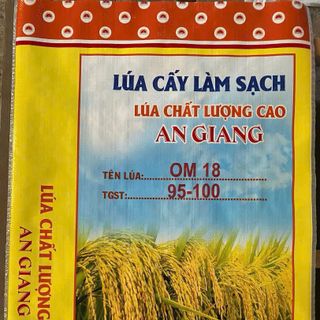 Cung cấp bao đựng lúa giống 40kg in sẳn có PE 40g giá sỉ