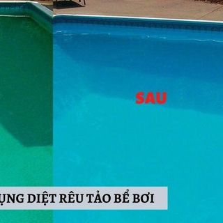 Đồng sunfat Xử lý tảo, rong rêu trong hồ bơi