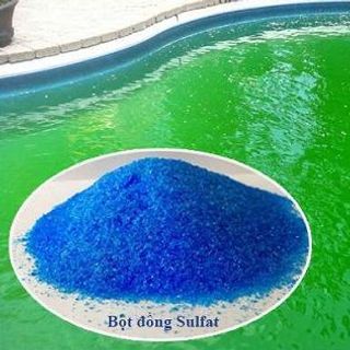 Đồng sunfat Xử lý tảo, rong rêu trong hồ bơi