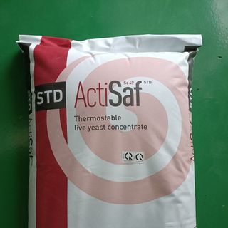 ACTISAF Nấm men đường ruột đậm đặc, dạng bao