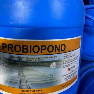 PROBIOPOND – Vi sinh bột xử lý đáy ao giá sỉ