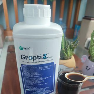 GROPTI Z AQUA KHOÁNG CHO ĂN BỔ SUNG TÔM CÁ VÀ CÁC AXIT AMIN