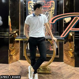 ÁO THUN NAM CỔ TRỤ BO DỆT BBR AH6