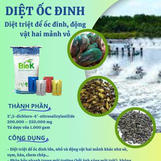 DIỆT ỐC ĐINH   Diệt triệt để ốc đinh, động vật hai mảnh vỏ giá sỉ