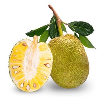 Mua Sỉ Mít 100Gram- Hàng Mít Chọn Lọc Chuyên Xuất Khẩu