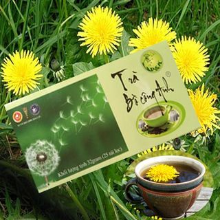 Trà Bồ Công Anh P&K - Giải độc gan, thanh lọc cơ thể, ngừa ung thư