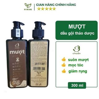 MƯỢT - Dầu gội thảo dược AN THÁI HƯNG 300ml Hết Rụng, Sạch Gàu, Nấm, Ngứa Da Đầu - An Thái Hưng giá sỉ