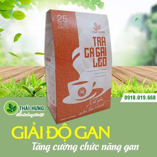 Trà Cà Gai Leo THÁI HƯNG - Hộp 25 túi lọc x 5g - Mát gan, thải độc gan, hạ men gan, giảm mỡ gan