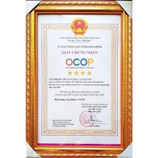Trà Cà Gai Leo THÁI HƯNG Mát gan, Giải độc gan, Hạ men gan, Xóa mụn nhọt mần ngứa - Bịch 50 túi lọc
