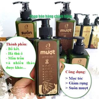 MƯỢT - Dầu gội thảo dược AN THÁI HƯNG 300ml Hết Rụng, Sạch Gàu, Nấm, Ngứa Da Đầu - An Thái Hưng