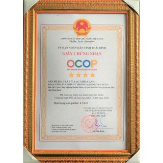 Trà Thìa canh Thái Hưng (25 túi lọc x 5g) Khắc tinh của tiểu đường