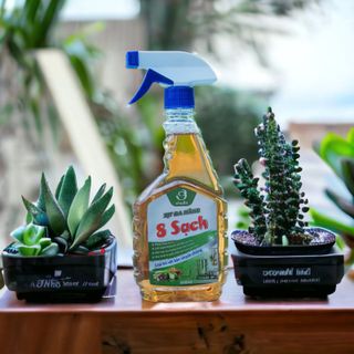 Xịt đa năng thảo dược 8 sạch An Thái Hưng, kháng khuẩn, làm sạch, khử mùi, xua đuổi côn trùng