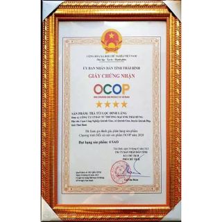 Trà Đinh lăng THÁI HƯNG (New) An thần, ngủ ngon, giảm stress - Bịch 100 túi lọc 5g
