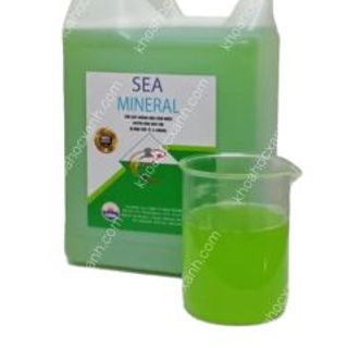 SEA MINERAL – Tinh chất khoáng mặn từ thiên nhiên giá sỉ