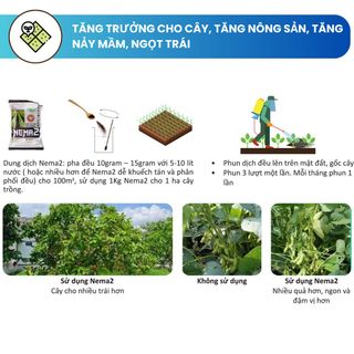 Phân bón hữu cơ Carbon NEMA 2 khử chua hạ phèn, làm giàu cho đất, nâng cao chất lượng nông sản (loại 1kg quy mô 5000m2))