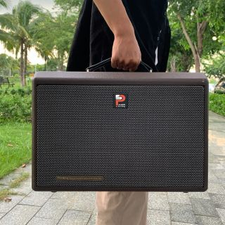 Prosing DSP-23X- Dòng loa cao cấp dành cho người chơi chuyên nghiệp
