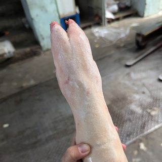 Dựng heo sau - móng giò heo sau - thịt heo đông lạnh nhập khẩu - giá bán buôn,  giá bán sỉ
