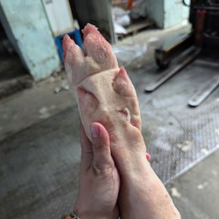 Dựng heo sau - móng giò heo sau - thịt heo đông lạnh nhập khẩu - giá bán buôn,  giá bán sỉ