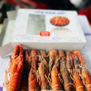 Tôm Hùm Đất Nét 8