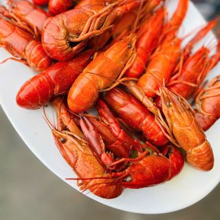 Tôm Hùm Đất Nét 8
