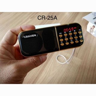 Loa craven 1pin CR25A Giá sỉ