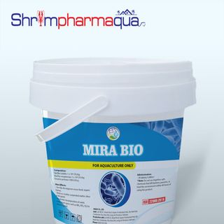 Vi sinh viên giúp phân huỷ mùn bã hữu cơ, xử lý nước, đáy ao - Mira bio