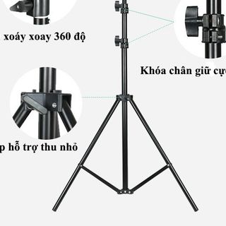 Đèn Livestream LED 3 Màu - Kích thước 26cm, 30cm, 33cm, 36cm, 45cm, 54cm