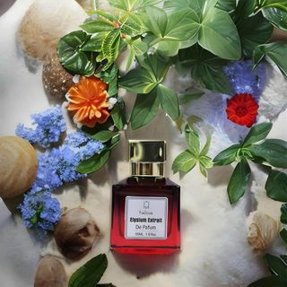 Nước hoa brand Việt Halova Elysium Extrait De Parfum 55ml