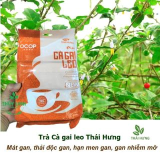 Trà Cà Gai Leo THÁI HƯNG (New) Giải độc gan, mát gan, hạ men gan - Bịch 100 túi lọc 5g