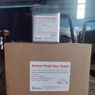 ACTIVE FEED FRY YEAST – Nấm men đậm đặc