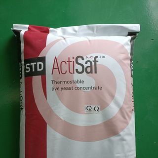 Actisaf – Nấm men đường ruột đậm đặc phòng ngừa phân trắng giá sỉ