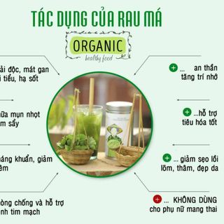 Bột Rau Má 60g - An Toàn & Tiện Dụng (20 Gói)