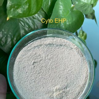 Cyto – EHP , một giải pháp hoàn toàn từ thiên nhiên ngăn ngừa EHP