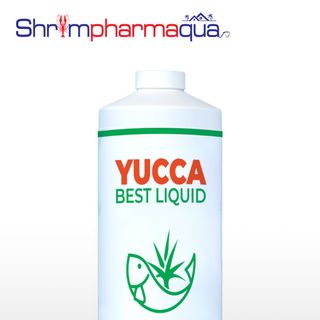 Hấp thu khí độc NH3, NO2,.. cấp cứu tôm nổi đầu - Yucca Best Liquid
