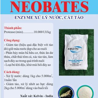 NEOBATES – Enzyme dạng bột – Giảm tảo – Giảm khí độc Xử lý nước giá sỉ