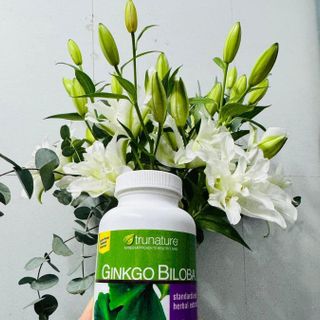 Viên uống bổ não Ginkgo Biloba 340 viên của Mỹ, hỗ trợ chăm sóc sức khỏe não bộ