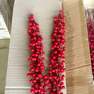 Đào đông 12 nhánh