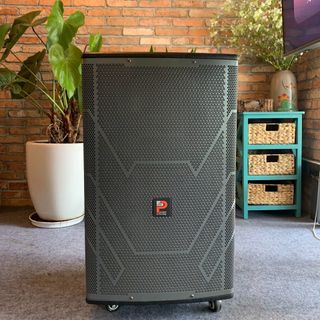 LOA KARAOKE DSP SUPER CAO CẤP DÀNH CHO NGƯỜI CHƠI CHUYÊN NGHIỆP