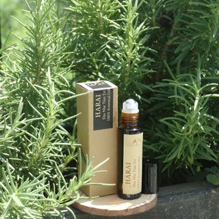 TINH DẦU LĂN LÀ AN 10ML - GIẢI PHÁP CHỮA LÀNH NĂNG LƯỢNG