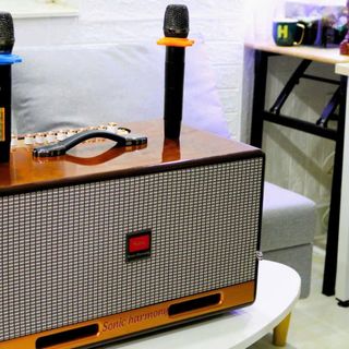 loa karaoke, xách tay, loa karaoke xách tay, loa sử dụng pin sạc, loa kéo Hz 450